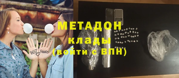 прущие грибы Богданович