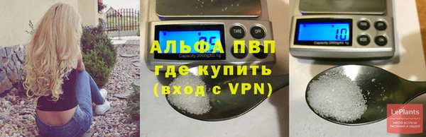 прущие грибы Богданович