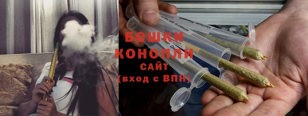 прущие грибы Богданович