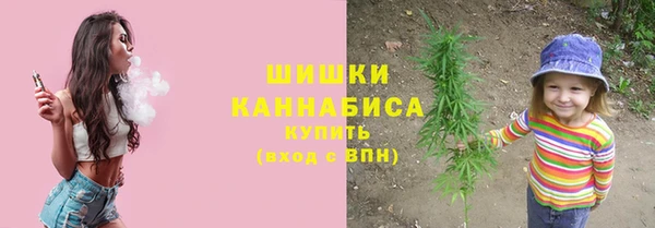 прущие грибы Богданович