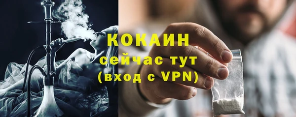 прущие грибы Богородицк