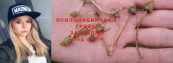 прущий лед Богородск