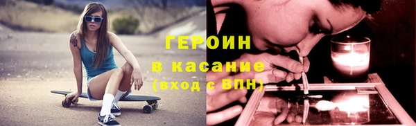 прущие грибы Богородицк