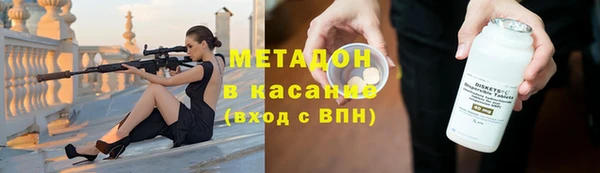 прущие грибы Богданович