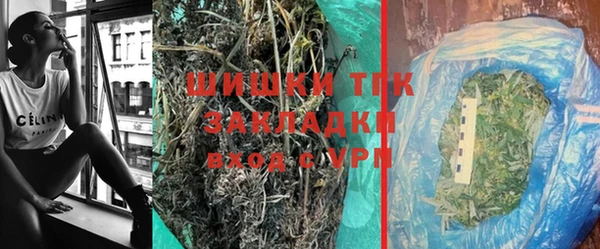 прущие грибы Богородицк