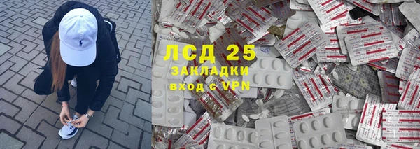 прущие грибы Богданович