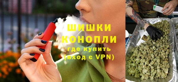 прущие грибы Богородицк
