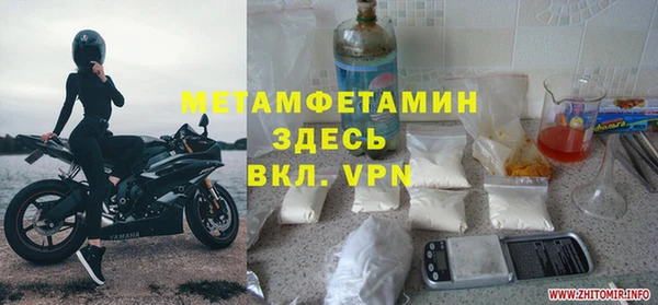 прущие грибы Богданович