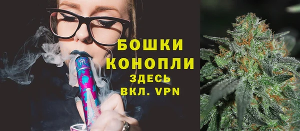прущие грибы Богородицк