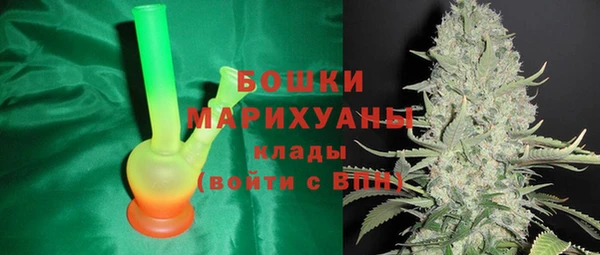 прущие грибы Богородицк