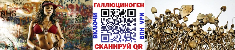 Галлюциногенные грибы Psilocybine cubensis  Полтавская 