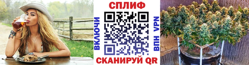 Конопля гибрид Полтавская